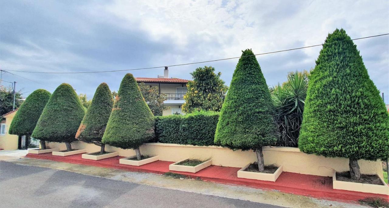 Vacation And Relaxation Home Oropos Nea Palatia 외부 사진