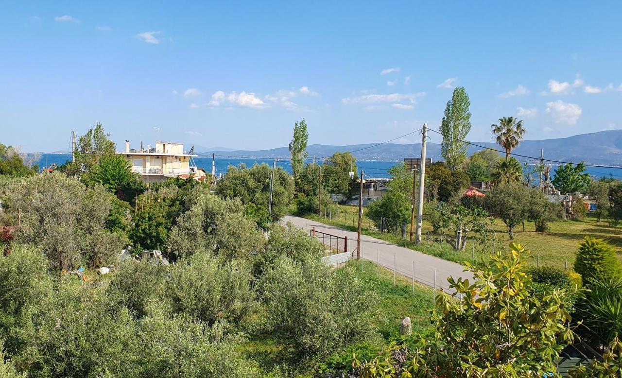 Vacation And Relaxation Home Oropos Nea Palatia 외부 사진