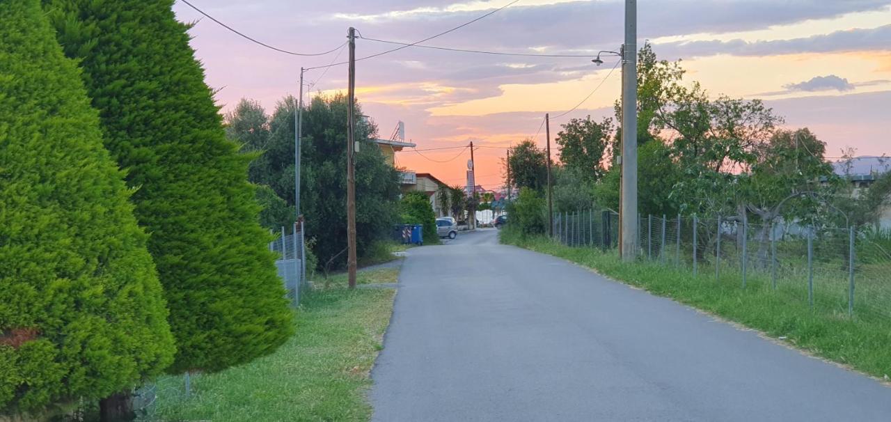 Vacation And Relaxation Home Oropos Nea Palatia 외부 사진